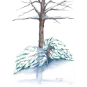 Healing Art-Life is Good image 25