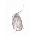 Healing Art-Change Hurts image 02