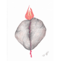 Healing Art-Change Hurts image 15