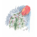 Healing Art-Change Hurts image 19