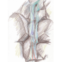Healing Art-Healing Happens image 23