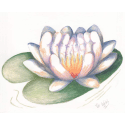 Healing Art-Healing Happens image 35