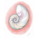 Healing Art-Healing Happens image 39