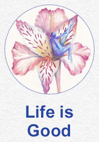 Button to Life is Good gallery