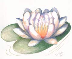 Healing Happens image 201