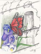 Compassion Flows image 203