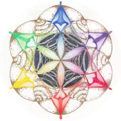 Compassion Flows image 303